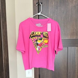 Cheetos Flamin' Hot Logo Cropped Short Sleeve Women’s T-Shirt Pink Size 2X NWT